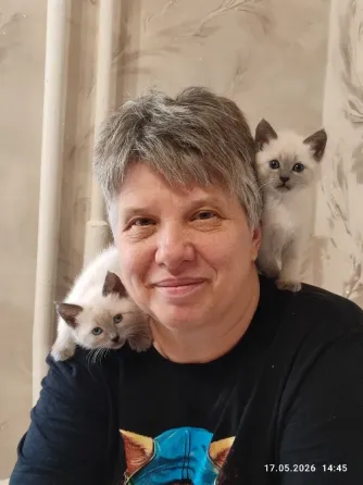 Котята невской маскарадной породы ждут своих хозяев. Донецк