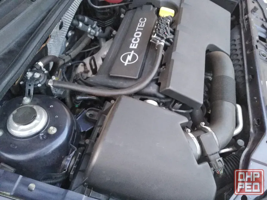 Opel Signum 2.2 Макеевка - изображение 4