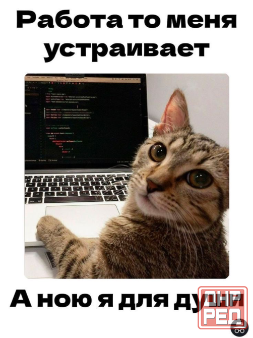 Офис-менеджер в агентство недвижимости Донецк - изображение 1