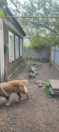 Продам дом,Грабари Донецк