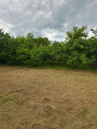 Продам дом улица Неманская, соток, гос.акт, гаражю Донецк