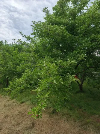 Продам дом улица Неманская, соток, гос.акт, гаражю Донецк