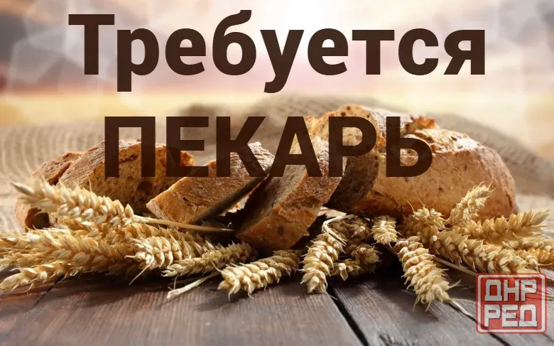 Пекарь Снежное - изображение 1
