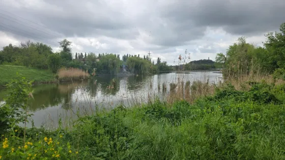 Земля Маяк Донецк
