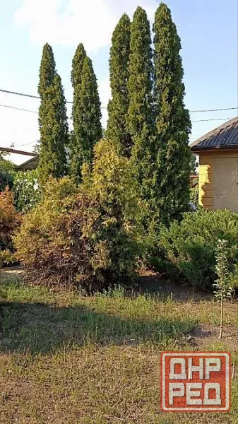 Цена снижена! Продажа трехкомнатного дома в Киевском районе, Щегловка Донецк - изображение 10