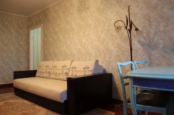 Пр.Гурова 11 центр Дом кирпичный, Донецк