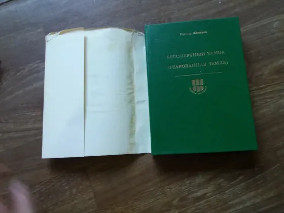 книга Роджер желязны "бессмертный замок" Донецк