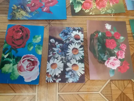 Продам открытки ссср новые чистые цветы Донецк