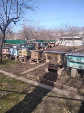 Продам 5 уликов Горловка
