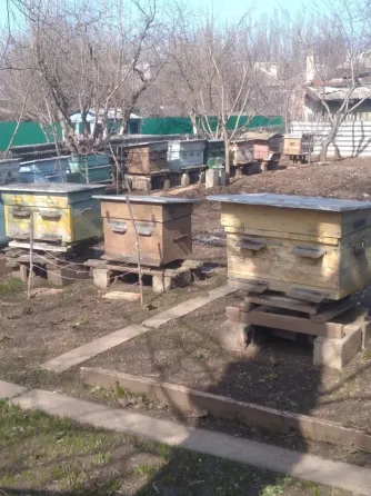 Продам 5 уликов Горловка