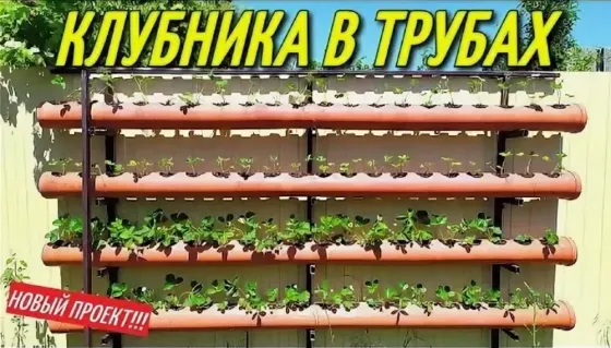Трубы для растений. Донецк