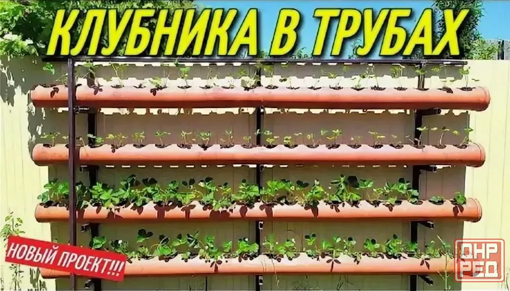 Трубы для растений. Донецк - изображение 5