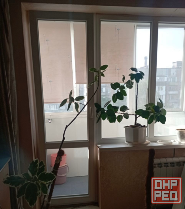 Продам 1ком. кв., чешка Донецк - изображение 1