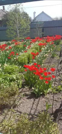 Продам свой дом Мариуполь