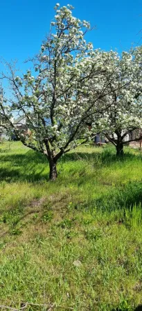 Продам свой дом Мариуполь