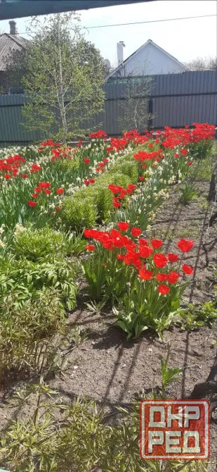 Продам свой дом Мариуполь - изображение 4