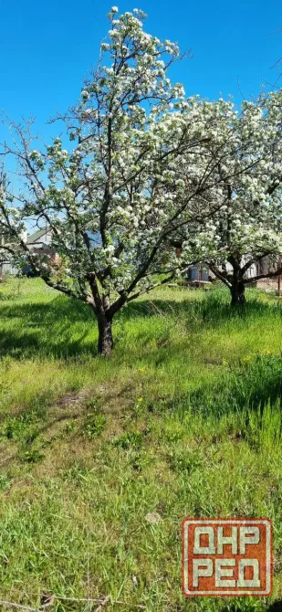 Продам свой дом Мариуполь - изображение 2