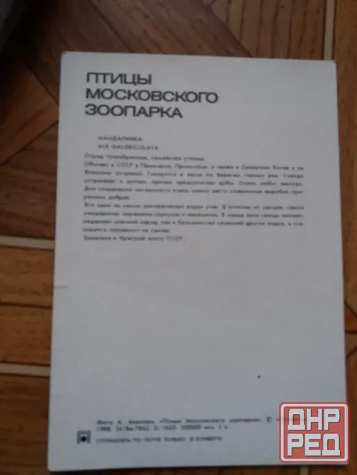 Продам открытки времен ссср птицы Донецк - изображение 6