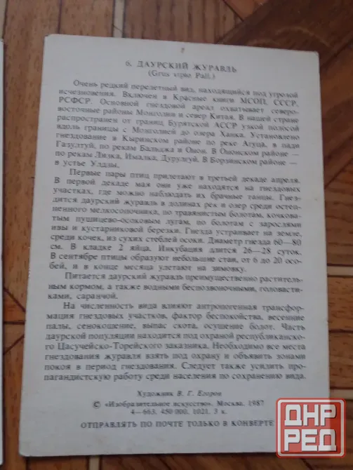 Продам открытки времен ссср птицы Донецк - изображение 8