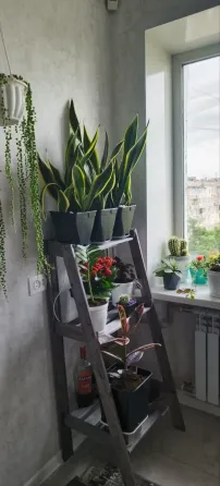Продам 3х комн. квартиру в центре после ремонта Донецк