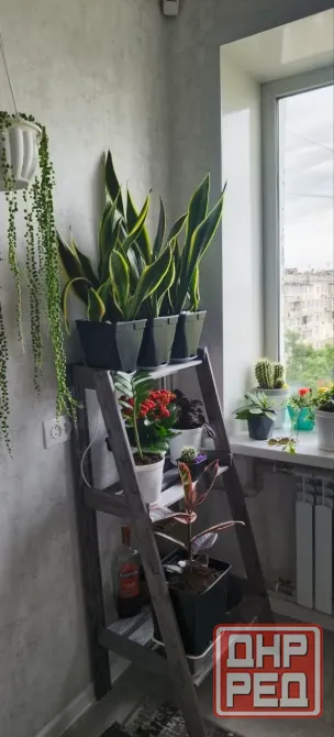 Продам 3х комн. квартиру в центре после ремонта Донецк - изображение 7