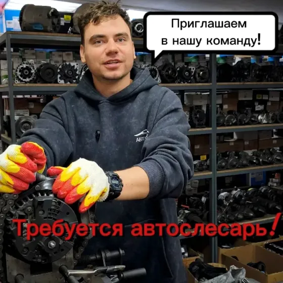 Мастер по ремонту стартеров и генераторов Донецк