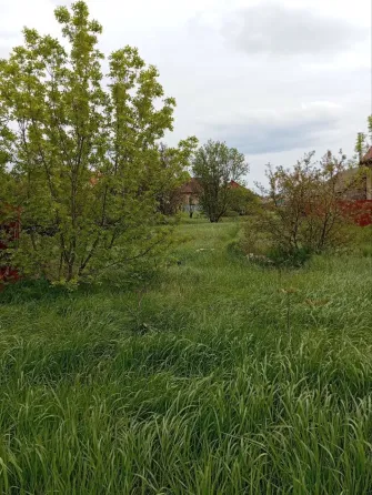 Продаётся участок в курортной зоне пригород Мариуполя Урзуф