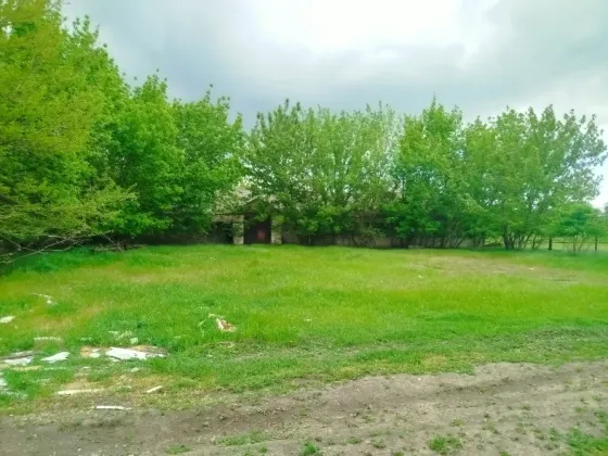 Коровник. с. Бердянское Мариуполь
