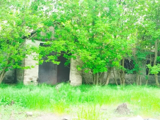 Коровник. с. Бердянское Мариуполь