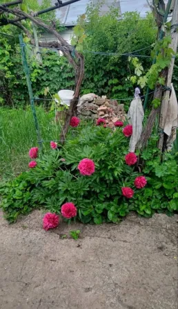 дом в Буряковой балке Мариуполь