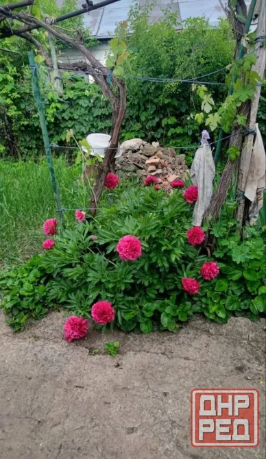 дом в Буряковой балке Мариуполь - изображение 2