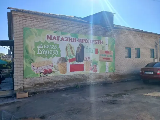 Продаётся нежилое строение под кафе или магазин Тельманово