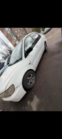 Mitsubishi Lancer Cedia Ждановка