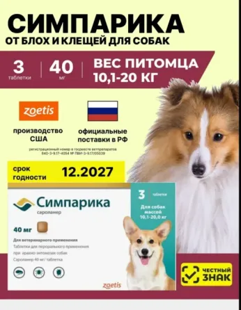 Симпарика Донецк