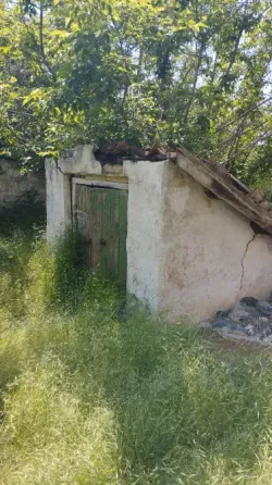 Продается дом на большом участке земли Старобешево