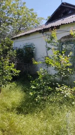 Продается дом на большом участке земли Старобешево