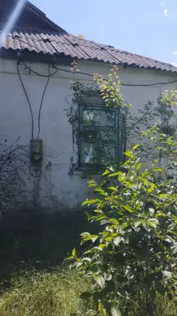 Продается дом на большом участке земли Старобешево