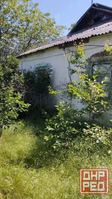 Продается дом на большом участке земли Старобешево - изображение 2