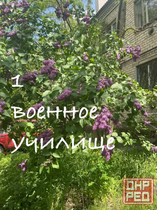 Продам 1 квартиру ул.Чемпионная Донецк - изображение 1