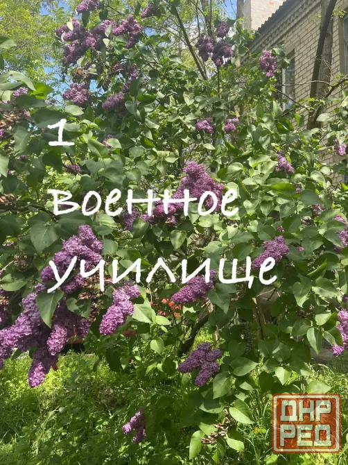 Продам 1 квартиру Военное училище Донецк - изображение 1