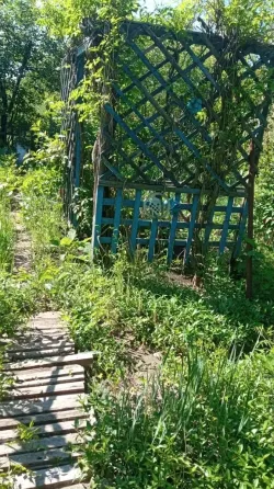 Продаётся дачный участок с домиком Макеевка