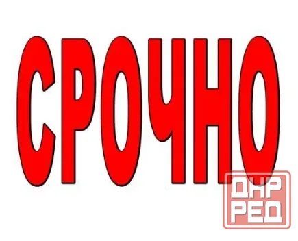 Сдам 1-комнатную квартиру на Черемушках, Пушка Макеевка - изображение 1
