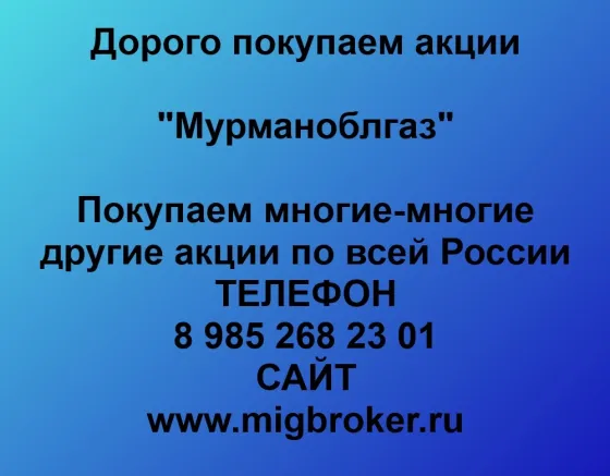 Продать акции «Мурманоблгаз»: лучшая цена, оплата сразу | МигБрокер Мурманск
