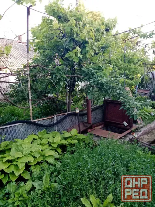 Продам дом с земельным участком Иловайск - изображение 3