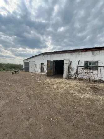 Продам действующую фермц Енакиево