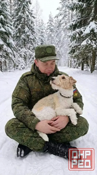 Ищу пару для рабочего кобеля Фокстерьера Донецк - изображение 1
