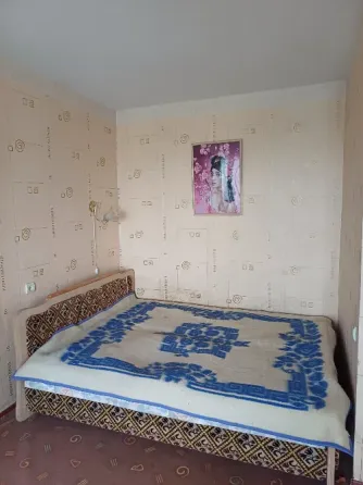 Продажа от собственника! Новый Горняк,крупногабаритная чешка. Донецк
