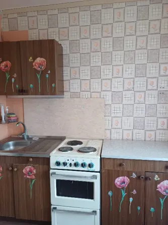 Продажа от собственника! Новый Горняк,крупногабаритная чешка. Донецк