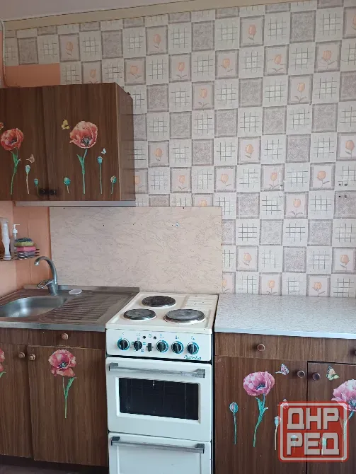 Продажа от собственника! Новый Горняк,крупногабаритная чешка. Донецк - изображение 4