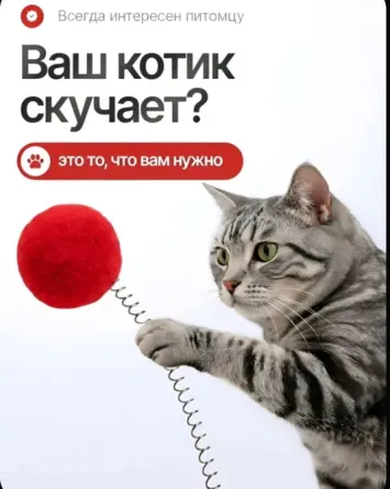 Игрушка для животных Донецк
